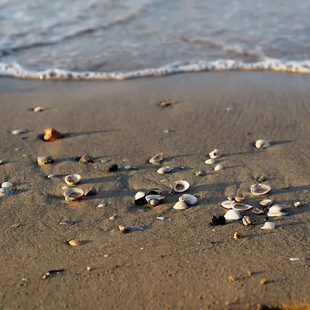 Wonderful Next To Bibione
