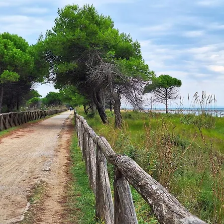 Wonderful Next To Apartment Bibione